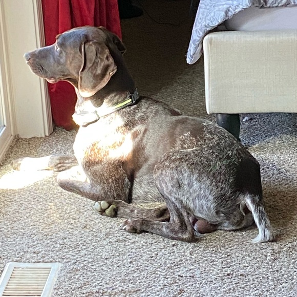 Summer tank - Picture 3 of 5